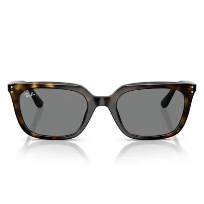 Ray Ban Sunglasses Rb4439 D 710/87 Brown/dark Grey Unisex In Black