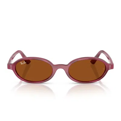 Ray Ban Sunglasses Rb4472 685773 Violet Brown/dark Brown Unisex