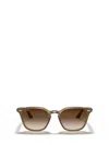Ray Ban Ray-ban Sunglasses In Brown