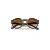 Ray Ban 2180 Reverse Sunglasses Transparent Dark Grey Frame Brown Lenses 52-22
