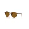 Ray Ban Sunglasses Unisex Bernard - Havana Grey & Brown Frame Brown Lenses 51-21