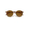 Ray Ban Bernard Sunglasses Havana Grey & Brown Frame Brown Lenses 51-20