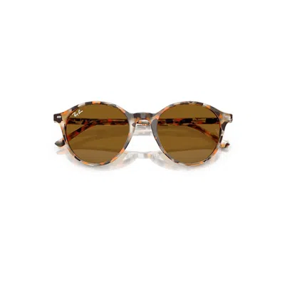 RAY BAN BERNARD SONNENBRILLEN HAVANA GREY & BROWN FASSUNG BRAUN GLAS 53-21