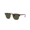 Ray Ban Sunglasses Unisex Clubmaster Classic - Tortoise On Gold Frame Green Lenses 55-21 In Schildpatt Auf Gold