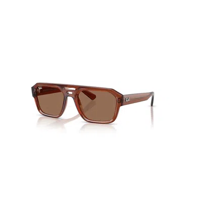 Ray Ban Corrigan Bio-based Fall Limited Sunglasses Transparent Brown Frame Brown Lenses 54-20 In Braun Transparent