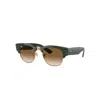 Ray Ban Ray In Green