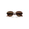 Ray Ban Rb3766ch Chromance Sunglasses Striped Brown Frame Brown Lenses Polarized 56-20 In Brown