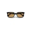 Ray Ban Rb4439d Sunglasses Black Frame Brown Lenses 54-21 In Black