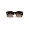Ray Ban Rb4466d Sunglasses Transparent Dark Brown Frame Brown Lenses 01-47