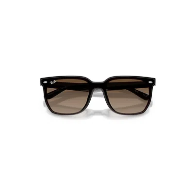 Ray Ban Rb4466d Sunglasses Transparent Dark Brown Frame Brown Lenses 01-47