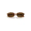 Ray Ban Sam Sunglasses Havana Brown Grey Frame Brown Lenses Polarized 54-19
