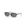 Ray Ban Sunglasses Unisex Sam - Striped Havana Frame Blue Lenses 56-19 In Brown