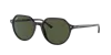 Ray Ban Thalia Sunglasses Tortoise Frame Green Lenses 55-18 In Black