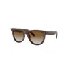 Ray Ban Wayfarer Reverse Sonnenbrillen Braun Transparent Fassung Braun Glas 50-22 In Transparent Brown