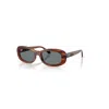 Ray Ban Sunglasses Woman Rb2221 - Striped Havana Frame Blue Lenses 53-18 In Brown