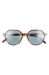 Ray Ban Ray-ban Thalia 53mm Geometric Sunglasses In Brown