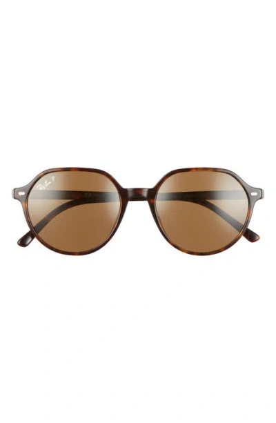 Ray Ban Thalia 53mm Polarized Square Sunglasses In Brown