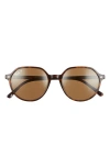 Ray Ban Ray-ban Thalia 53mm Polarized Square Sunglasses In Brown
