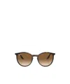 Ray Ban Ray-ban Phantos 54mm Gradient Polarized Round Sunglasses In Brown