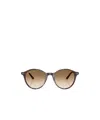Ray Ban Tortoiseshell Sunglasses