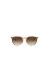 Ray Ban Ray In Brown