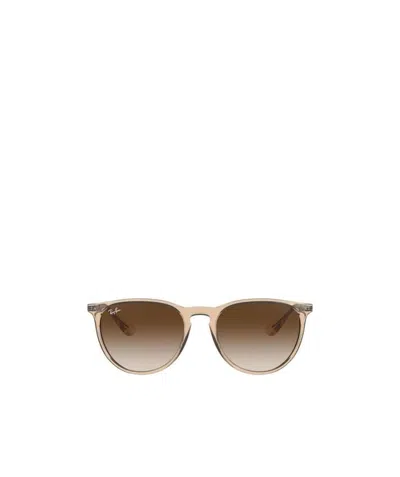 Ray Ban Ray In Transparent Light Brown
