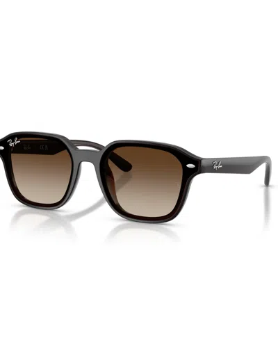 Ray Ban Unisex Large Sunglasses, Rb4458d In Transparent Dark Brown