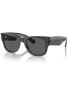 Ray Ban Ray-ban Sunglasses In Transparent Black