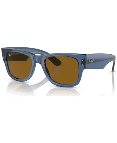 Ray Ban Ray In Braun