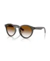 Ray Ban Unisex Round Sunglasses, Rbr0505s In Brown