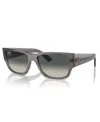Ray Ban Ray In Opal Dark Gray