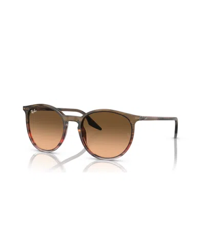 Ray Ban Rb2204 Sunglasses Striped Brown Frame Pink Lenses 54-20 In Striped Brown  Red