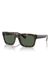 Ray Ban Warren Bio-based Sunglasses Havana Frame Blue Lenses 54-20
