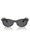 Ray Ban Wayfarer 53mm Oval Sunglasses In Havana
