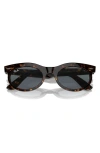 Ray Ban Wayfarer 53mm Oval Sunglasses In Havana