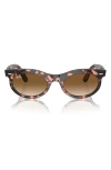 Ray Ban Wayfarer Oval Sunglasses Pink Havana Frame Brown Lenses 53-22 In Havana Pink