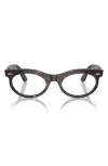 Ray Ban Wayfarer 53mm Polarized Oval Sunglasses In Havana