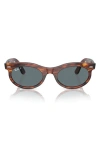 Ray Ban Wayfarer Transitions 50mm Oval Sunglasses In Striped Havana
