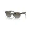 Ray Ban Wayfarer Oval Change Sunglasses Photo Waves Azure Frame Blue Lenses 53-22 In Photo Waves Azure