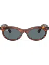 Ray Ban Ray In Brown