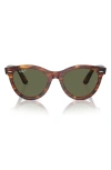 Ray Ban Wayfarer Way 51mm Polarized Oval Sunglasses In Striped Hava