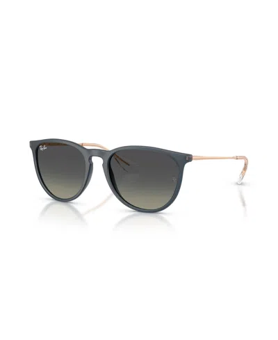 Ray Ban Women's Erika Classic Sunglasses, Rb4171