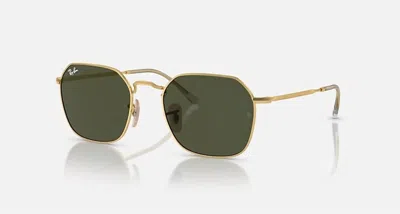 Ray Ban Women's Jim Sunglasses In Gold In Brown