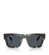Ray Ban Rb2217m Scuderia Ferrari Collection Sonnenbrillen Havana Grau Fassung Grau Glas 53-21 In Brown