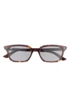 Ray Ban Ray-ban Zaya 53mm Sunglasses In Havana