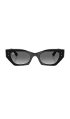 Ray Ban Ray-ban Sunglasses In Black