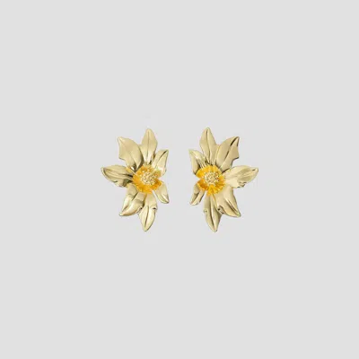 Ray The Daisy Earring Studs