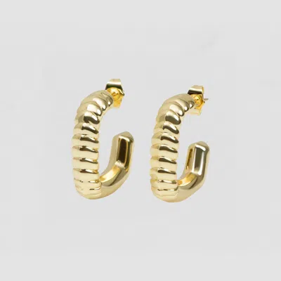 Ray The Linear Luna Earrings