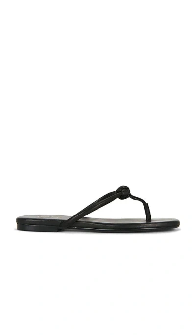 Raye Aarav Sandal In Black