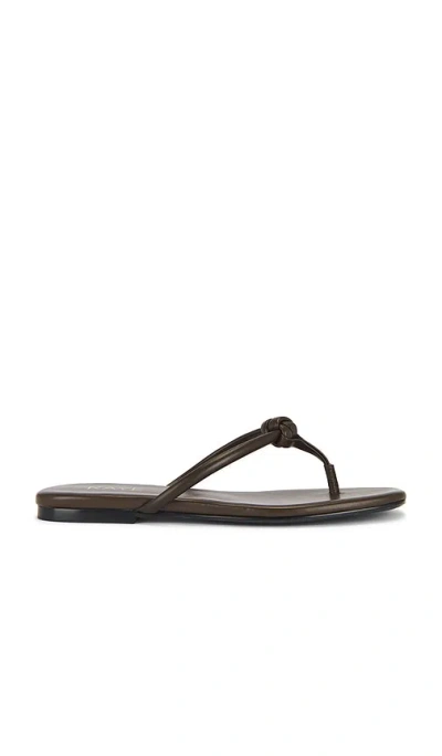 Raye Aarav Sandal In Brown